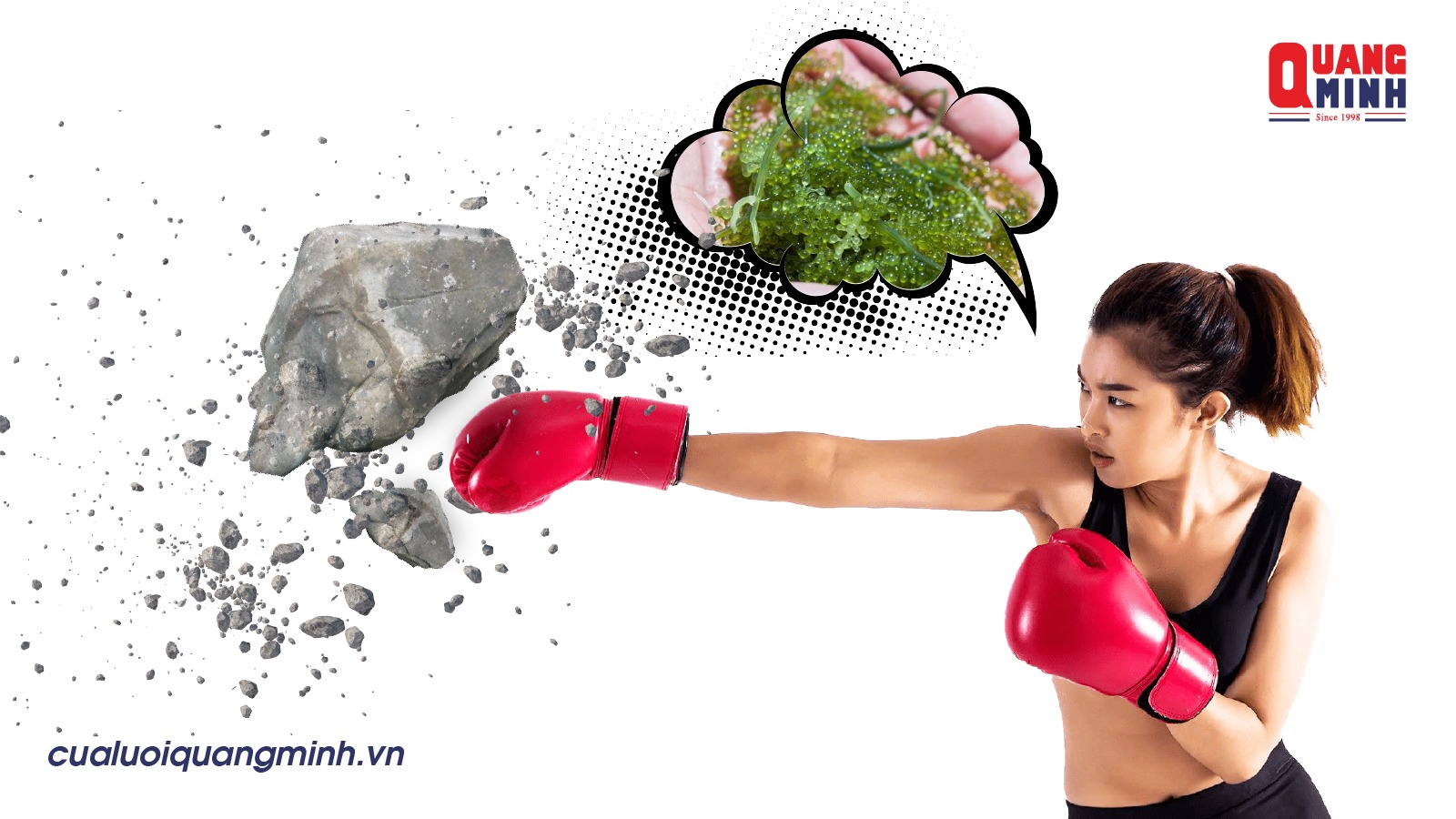 ảnh bìa tác dụng của rong nho