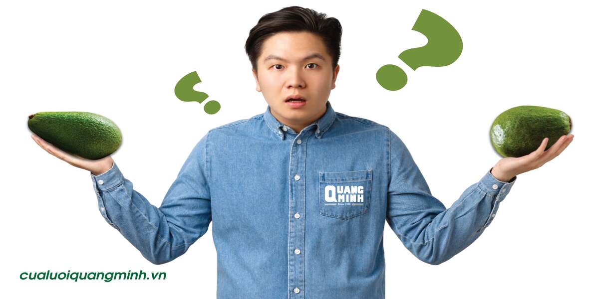 ảnh bìa cách chọn bơ ngon