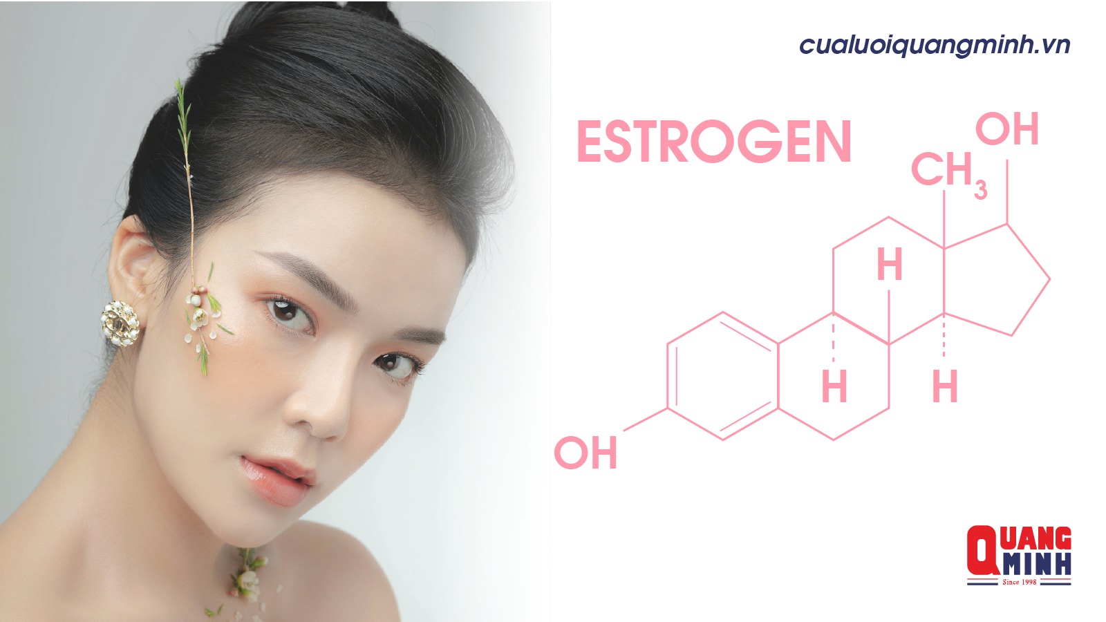 Bên trái là hình 1 người phụ nữ, bên phải là mô hình estrogen