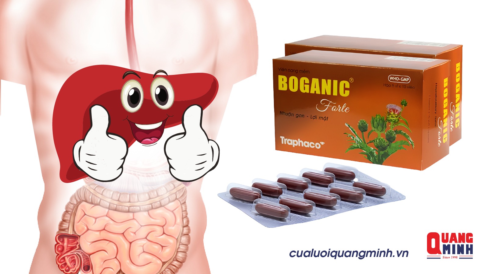 Thuốc Boganic có công dụng gì? Liều dùng của boganic chính xác