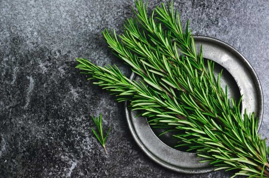 Những cây hương thảo màu xanh được đặt trên đĩa